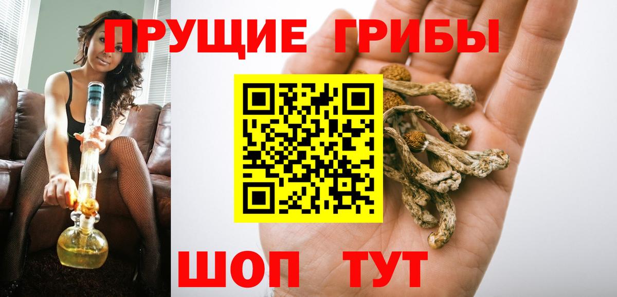 Псилоцибиновые грибы мицелий Томск