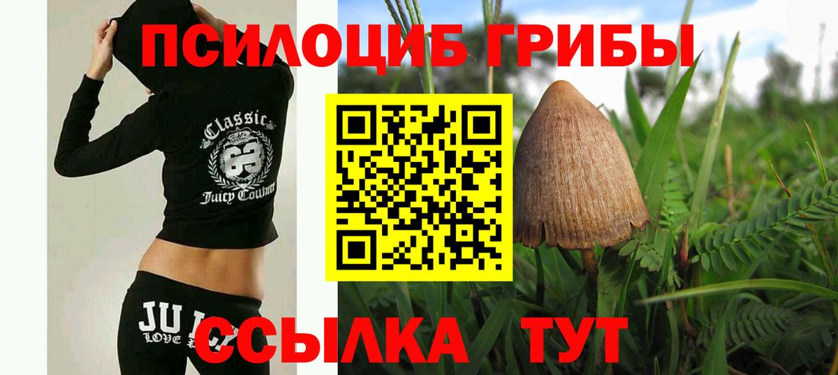 Псилоцибиновые грибы Cubensis  Вход с VPN  Псилоцибиновые грибы Psilocybine cubensis  как найти наркотики  Томск 